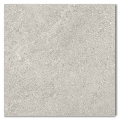 Fossil Grey TM Polished Porcelain Wall/Floor Tiles 600x600